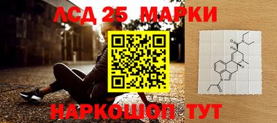 спиды Гагарин