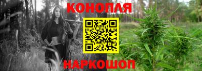 спиды Гагарин