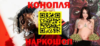 спиды Гагарин