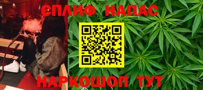 jwh Гатчина