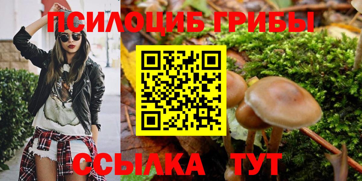 Псилоцибиновые грибы GOLDEN TEACHER Нижний Тагил