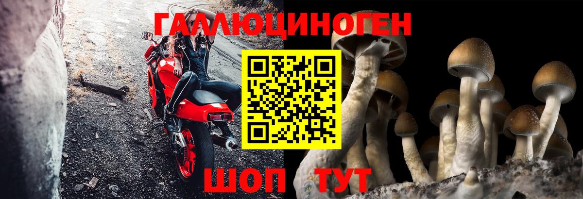 Нижний Тагил  Галлюциногенные грибы Psilocybine cubensis  Вход с VPN  Псилоцибиновые грибы мухоморы 